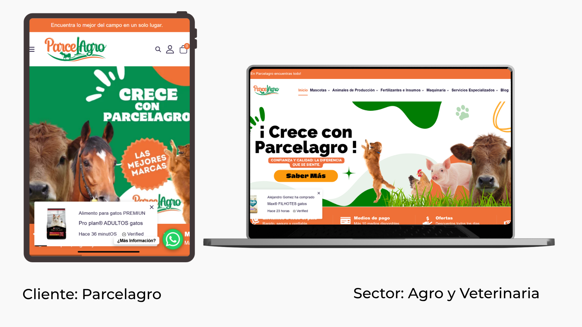 paginaweb-parcelagro-classalia